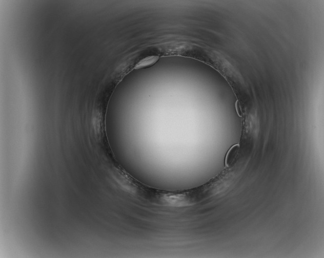 X0000115480283200911131221