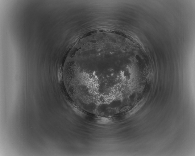 X0000115480285200911131222