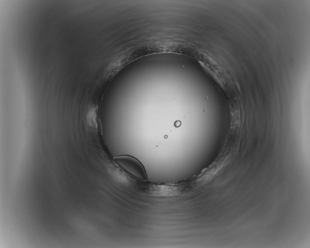 X0000115480286200911131222