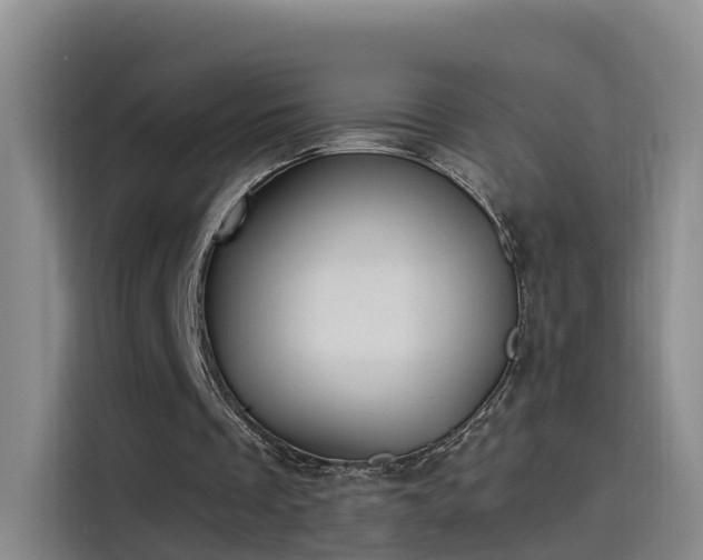 X0000115480289200911131221