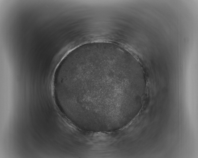 X0000115480290200911131221