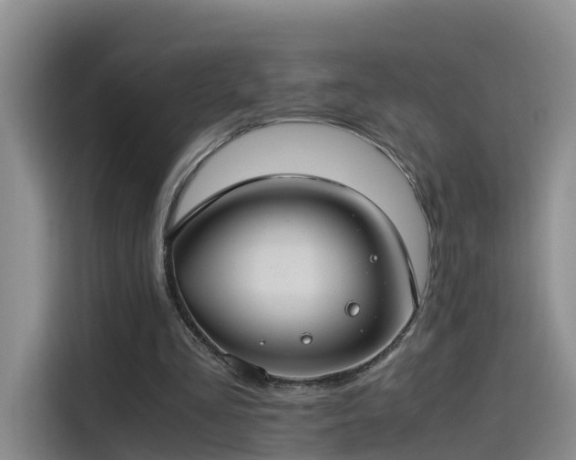 X0000115480293200911131221