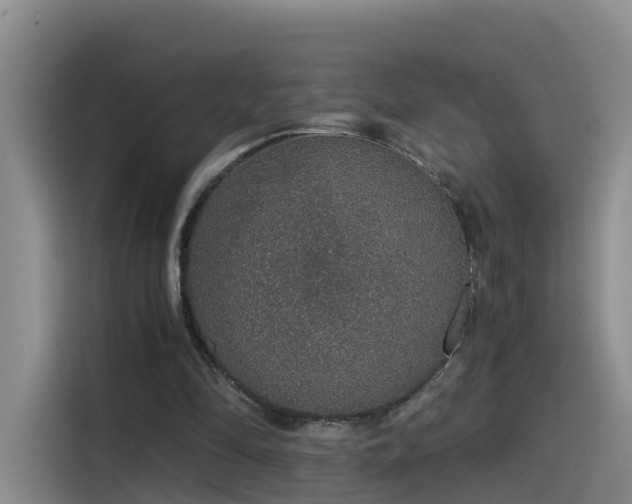 X0000115480294200911131221