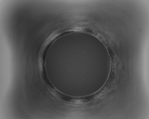 X0000115480295200911131221