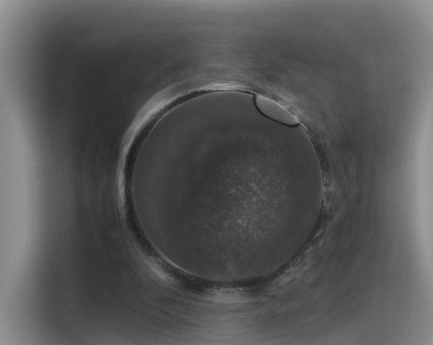 X0000115480296200911131221