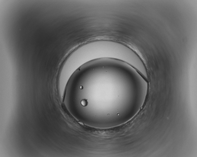 X0000115480297200911131221