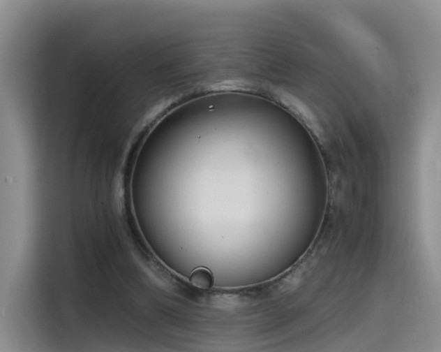 X0000115480298200911131221