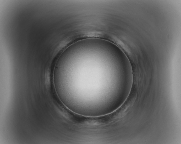 X0000115480299200911131221