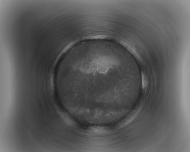 X0000115480300200911131221