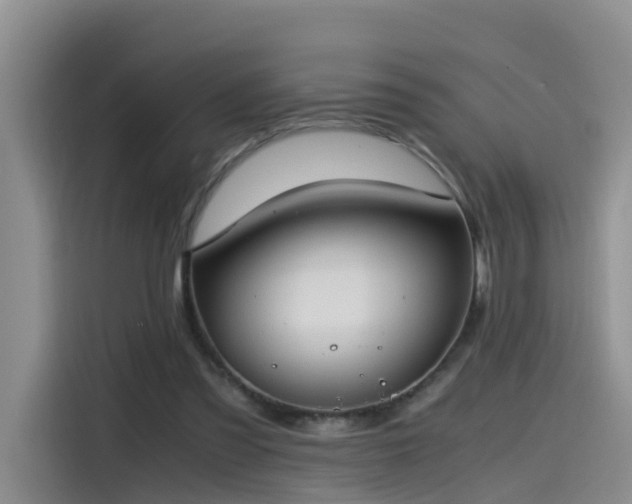 X0000115480301200911131221