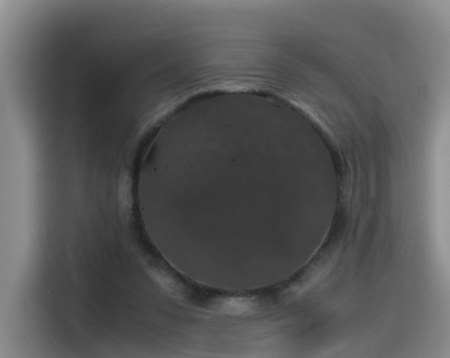 X0000115480303200911131221