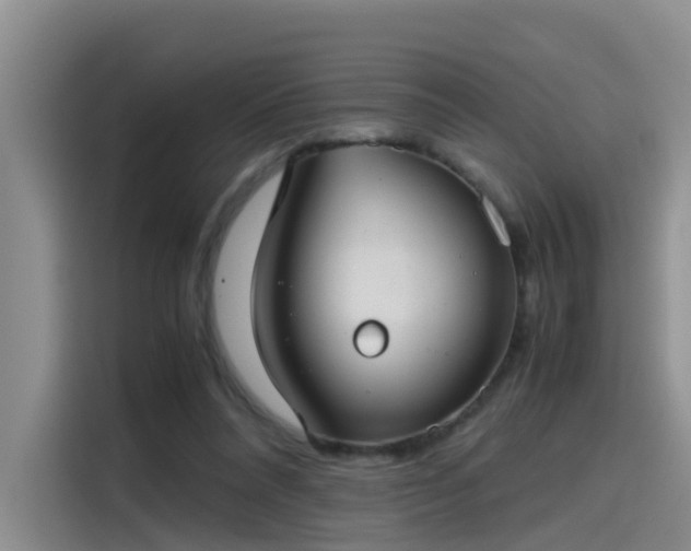 X0000115480304200911131221