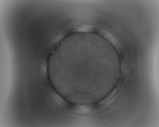 X0000115480305200911131221