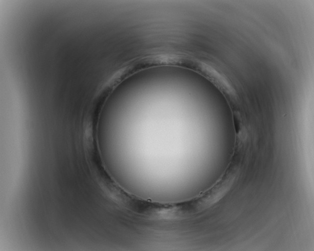 X0000115480306200911131221