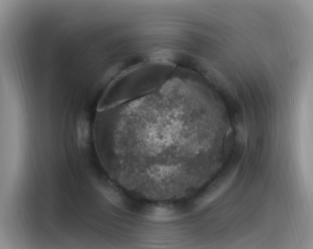 X0000115480308200911131221