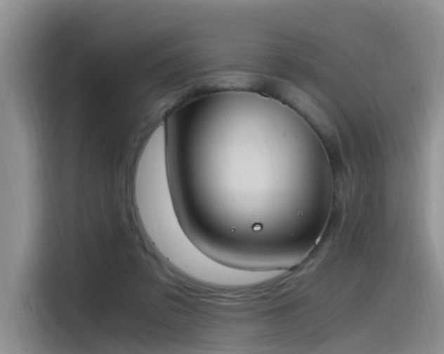 X0000115480309200911131221