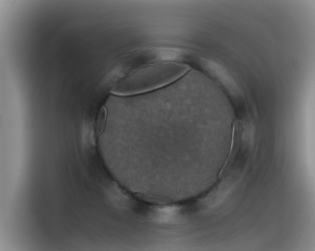 X0000115480313200911131221