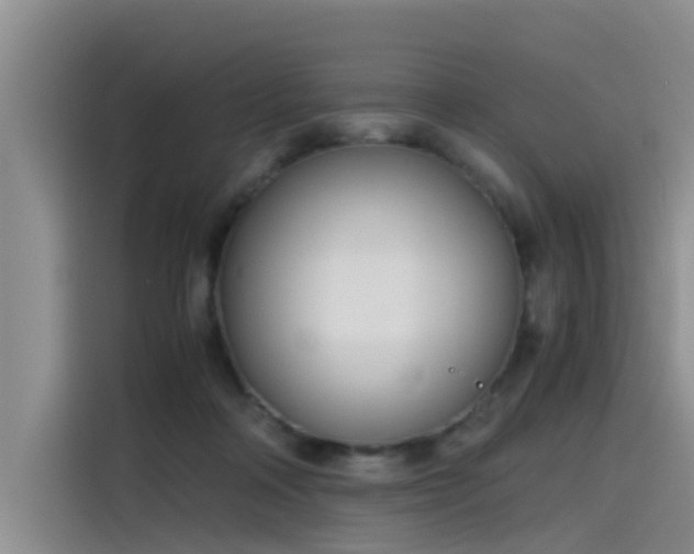 X0000115480314200911131221