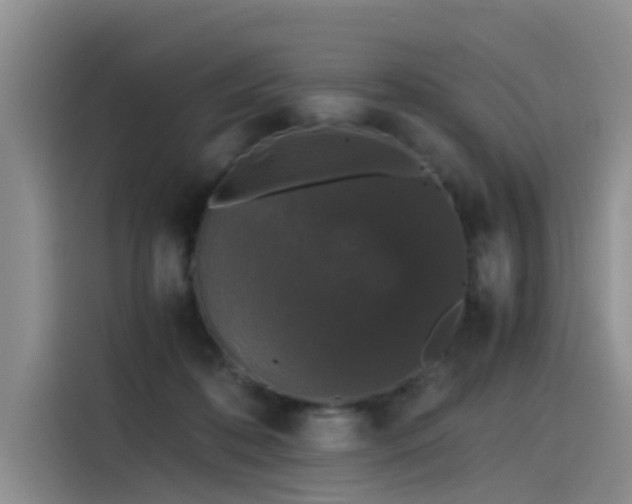 X0000115480316200911131221