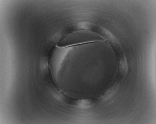 X0000115480320200911131221