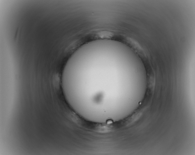 X0000115480321200911131221