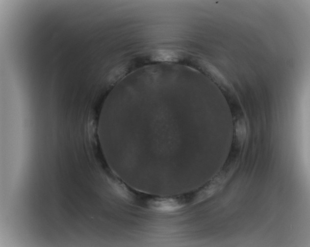 X0000115480322200911131220