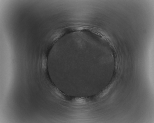 X0000115480325200911131220