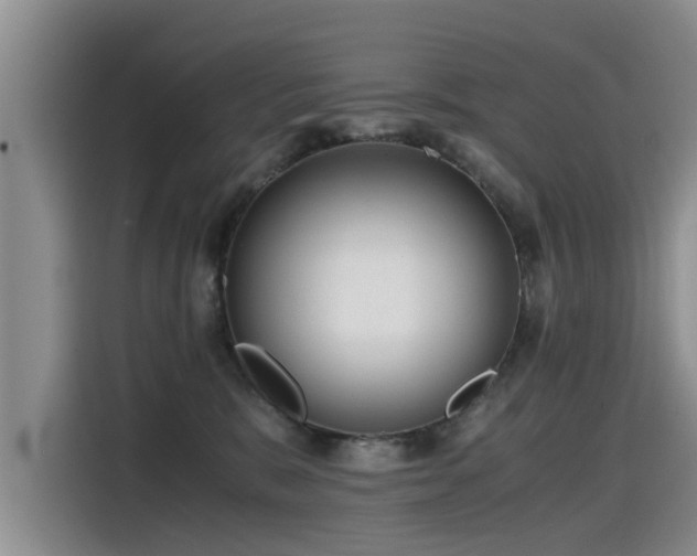 X0000115480327200911131220