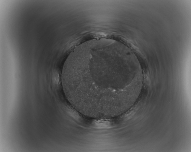 X0000115480331200911131220