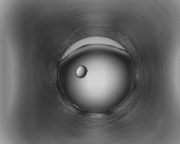 X0000115480332200911131220