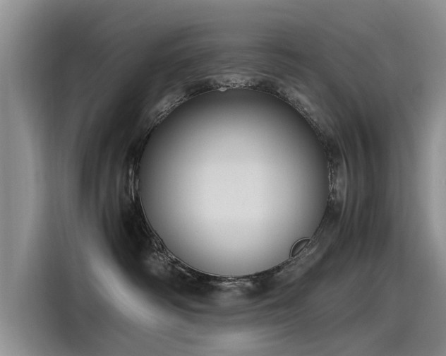 X0000115480334200911131220