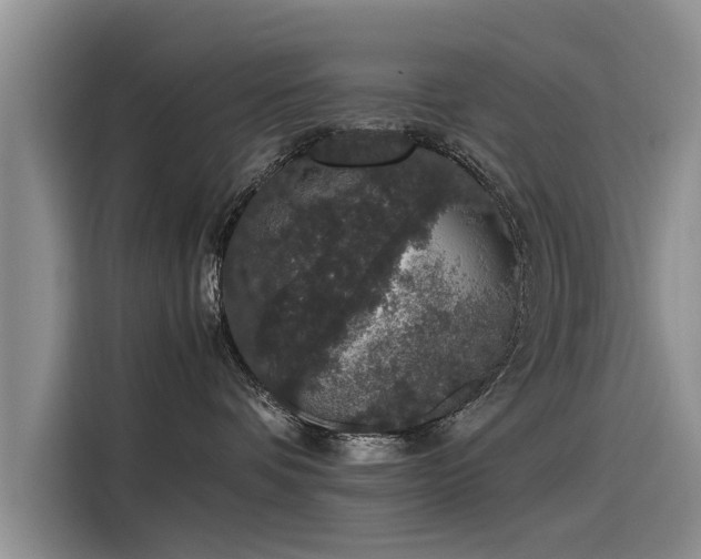 X0000115480336200911131220