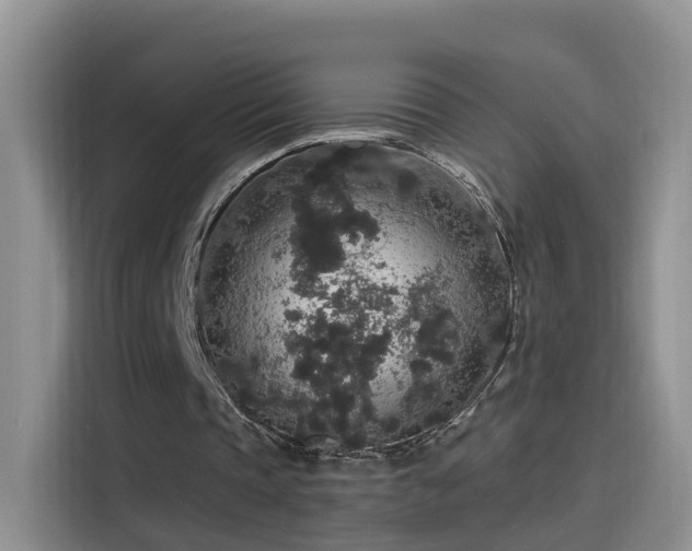 X0000115480337200911131220