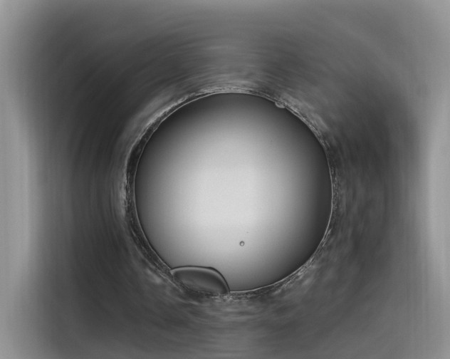 X0000115480338200911131220