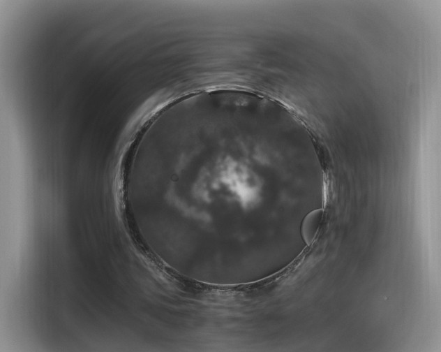 X0000115480339200911131220