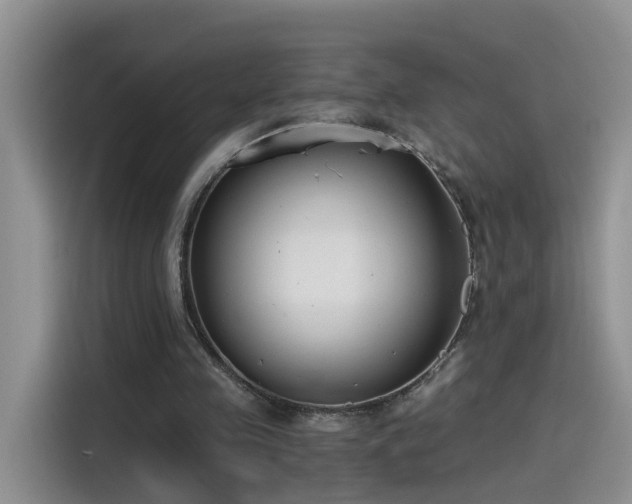 X0000115480341200911131220