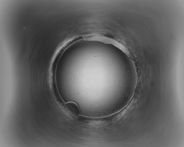 X0000115480342200911131220