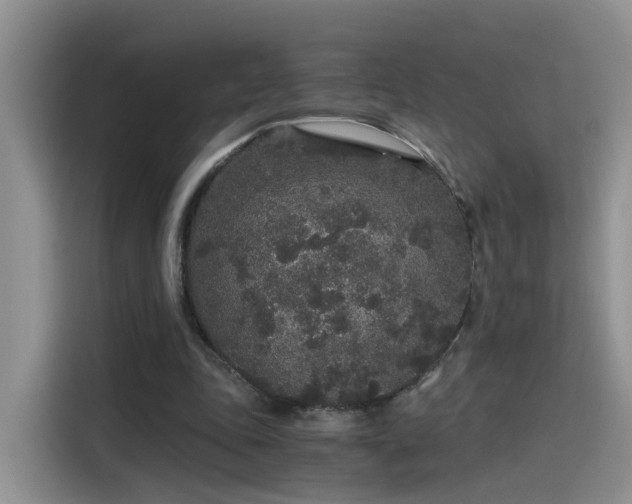 X0000115480343200911131220