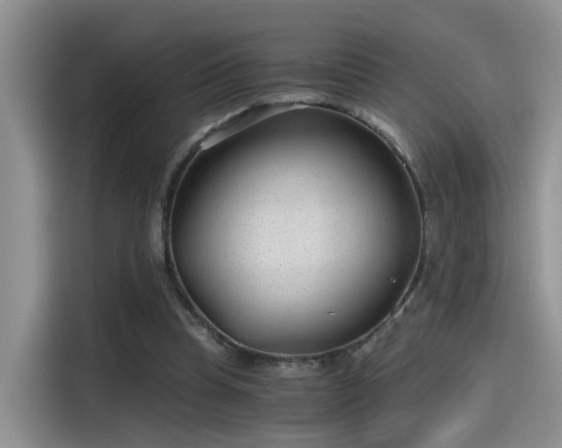 X0000115480345200911131220