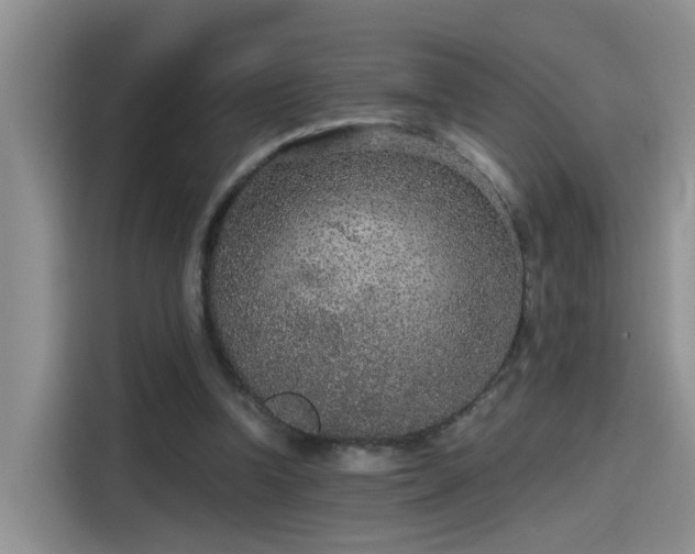 X0000115480346200911131220