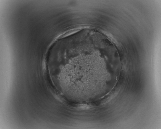 X0000115480347200911131220