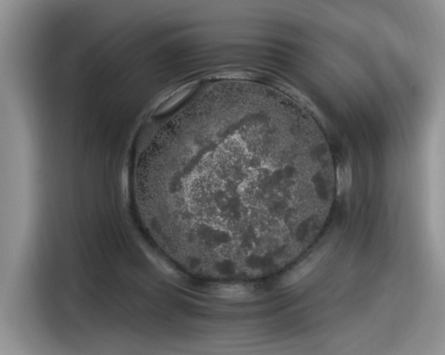 X0000115480349200911131220