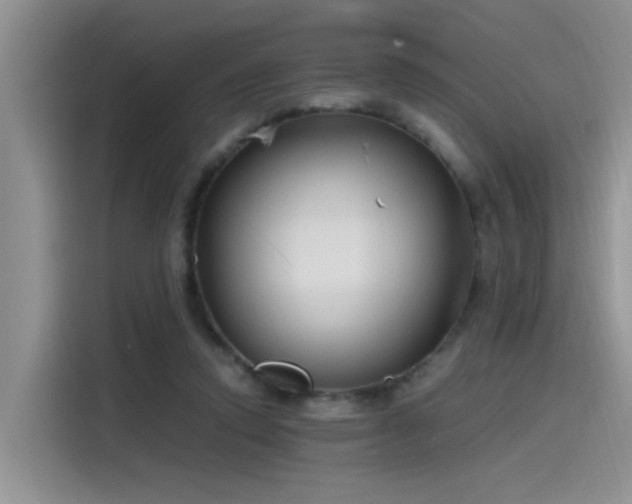 X0000115480354200911131220