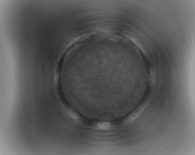 X0000115480355200911131220