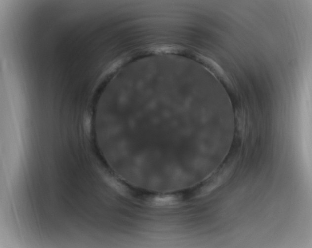 X0000115480357200911131220