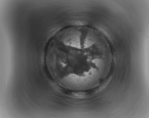 X0000115480359200911131220