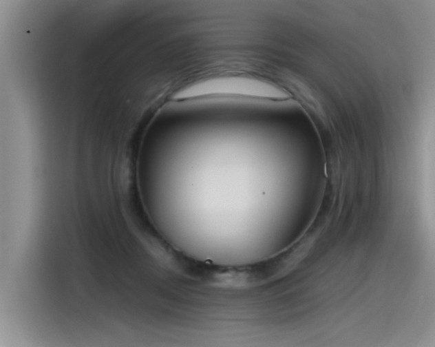 X0000115480362200911131220