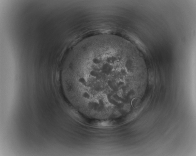 X0000115480365200911131220