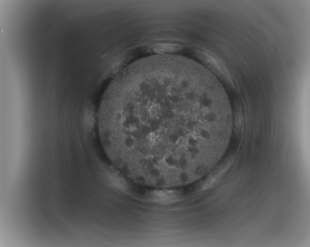 X0000115480367200911131220