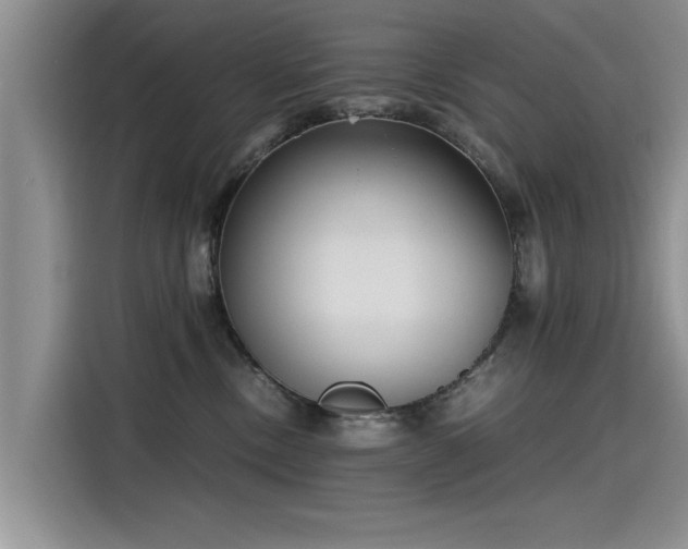 X0000115480378200911131220